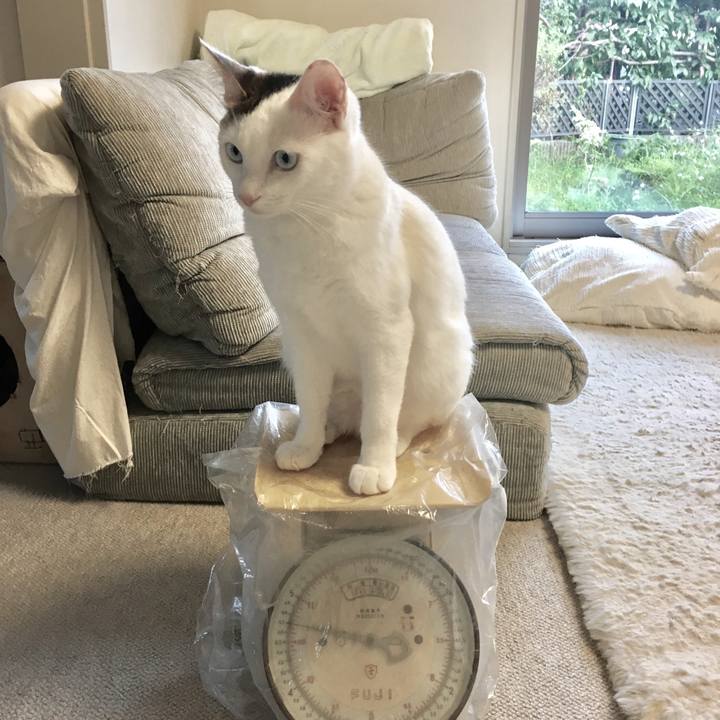 4e2ba1c5 2044 40b4 a025 846cd9511b37