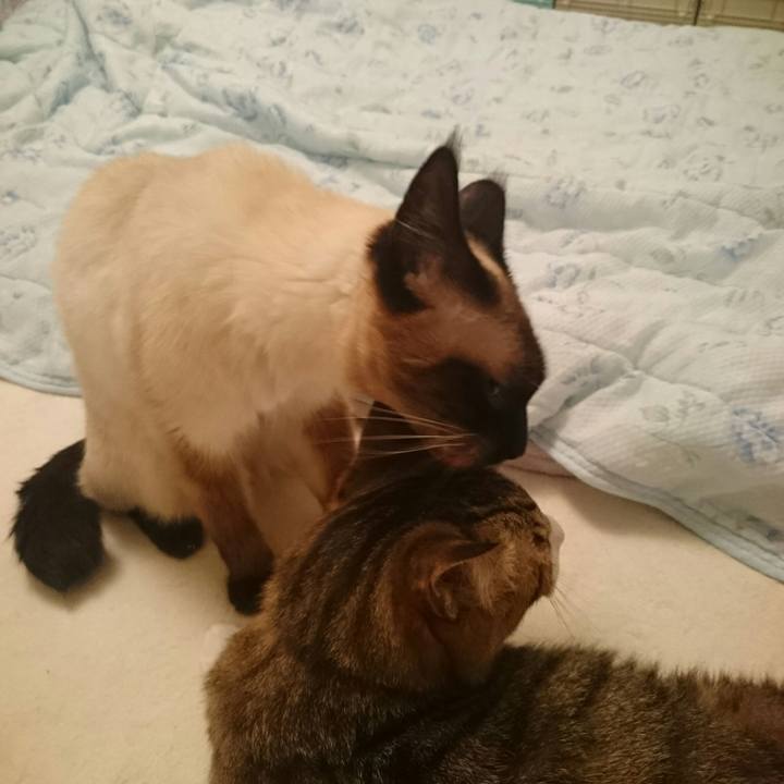 4e2ba40a 527d 44cd bf23 a92a2f283107