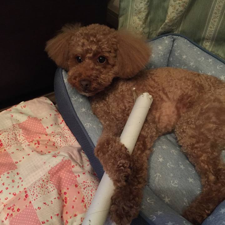 4e2bfe0f d996 485e 9ce6 48c801ce1bcd