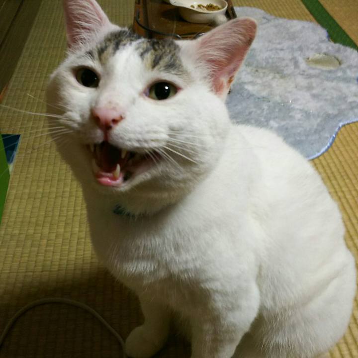 4e2c4897 0fb6 4eb2 8dcc 56b2b6628b85