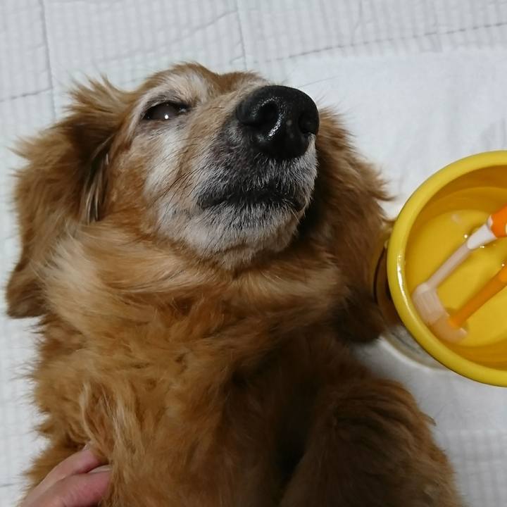 4e2c562c a648 4921 aeed 4864ee15a2c0