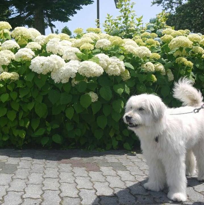 4e2cbbd4 8e02 45ff a154 7a4d620da8e5