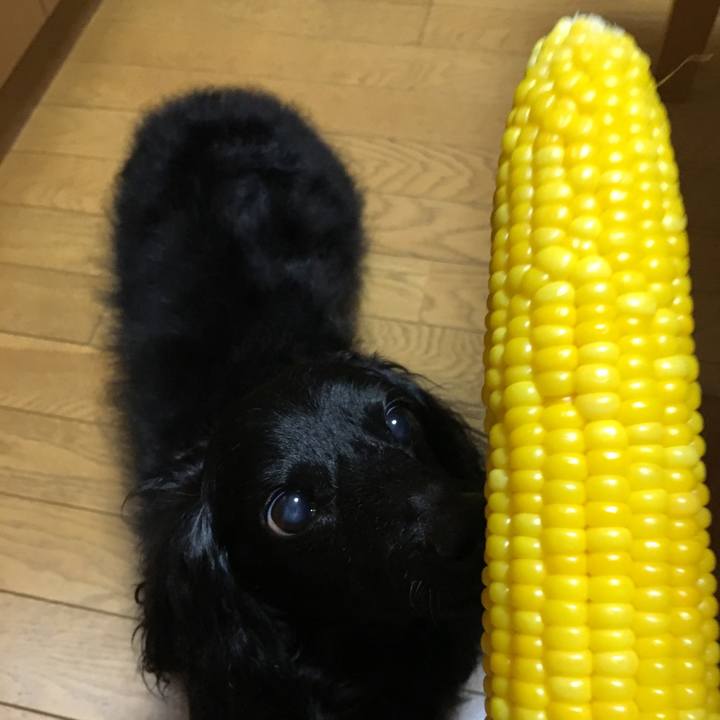 4e2ccc42 9b1e 4520 b6dd a0c6f672125a