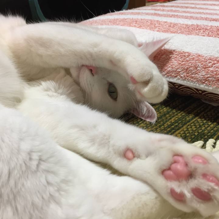 4e2cedcc 14d4 4f45 9a06 1b5acbd39de0