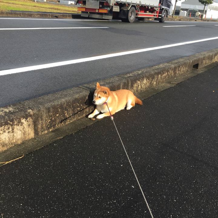 4e2d2c61 32e4 4765 8544 cf1e17026605