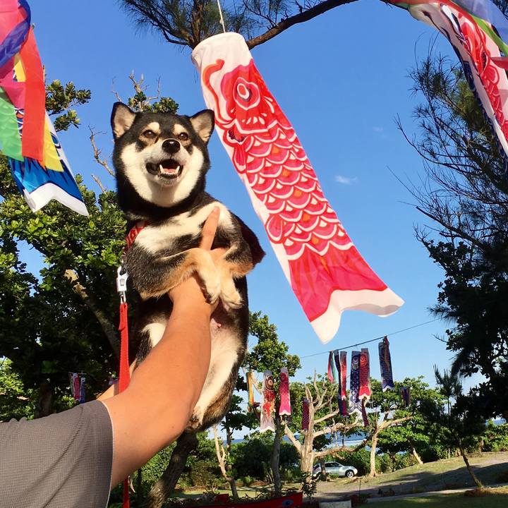 4e2d8ccd fab0 4bb1 afd8 93b6ddf94c52