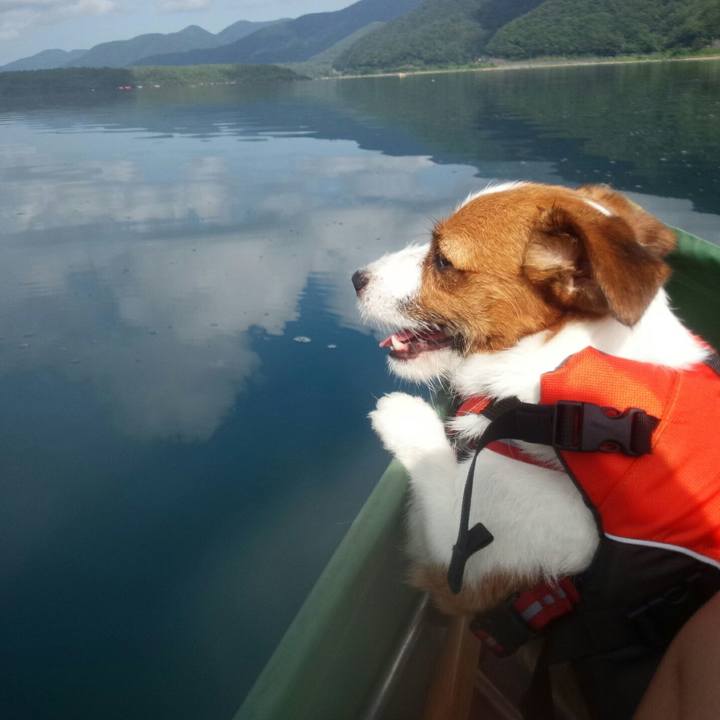 4e2dfa4d 4aeb 4a57 b749 a512f937cd51