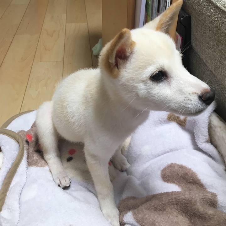 4e2f1f2b b722 4143 952c 650648e444b7