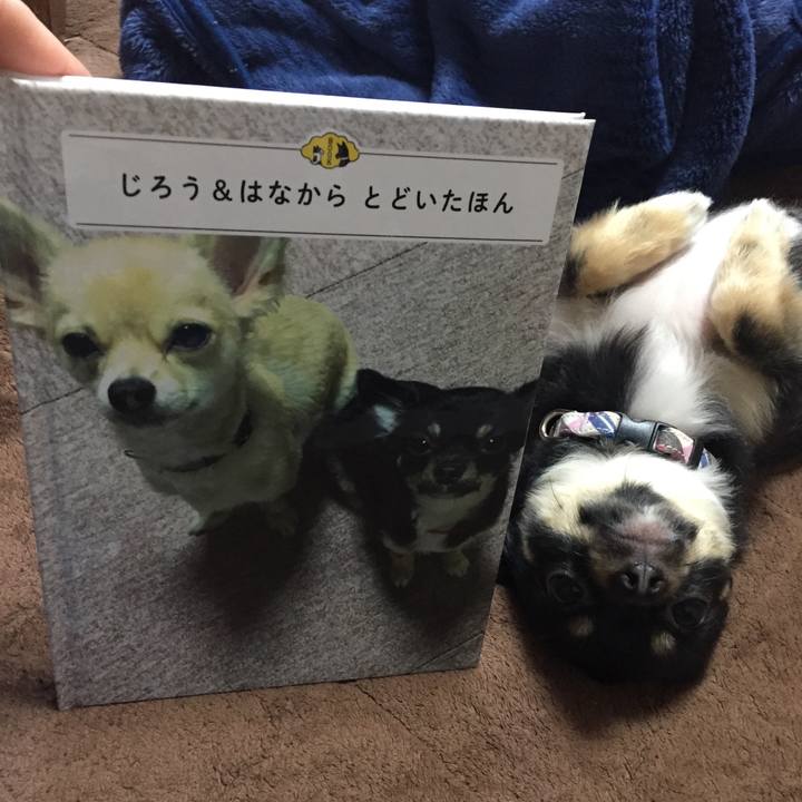 4e2f8979 53b7 4960 9837 22ad92baaac9