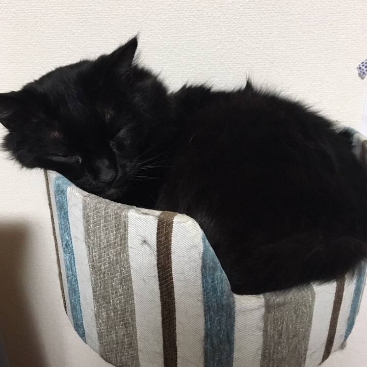 4e2f907a e364 4297 aba9 c21d3235ad77