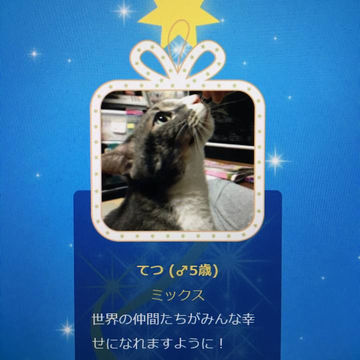 4e2fa9a6 649b 4b37 a4a9 ac39cf8e2b58