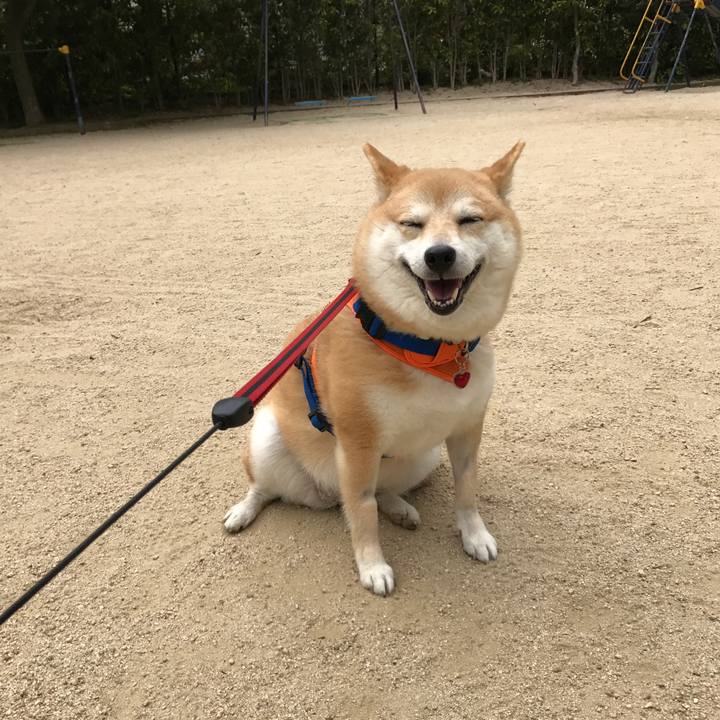 4e302976 e899 4878 8541 0fe255499d5a