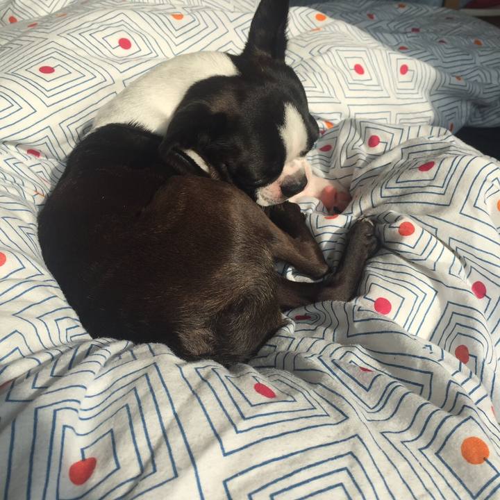 4e3118c9 9bd9 4e24 b49f dc8d52ba335f