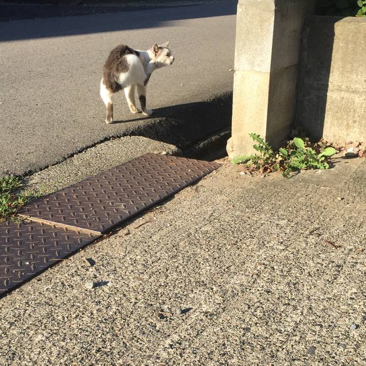 4e3183a1 bf9d 43e6 84ed b32d6b0aee78