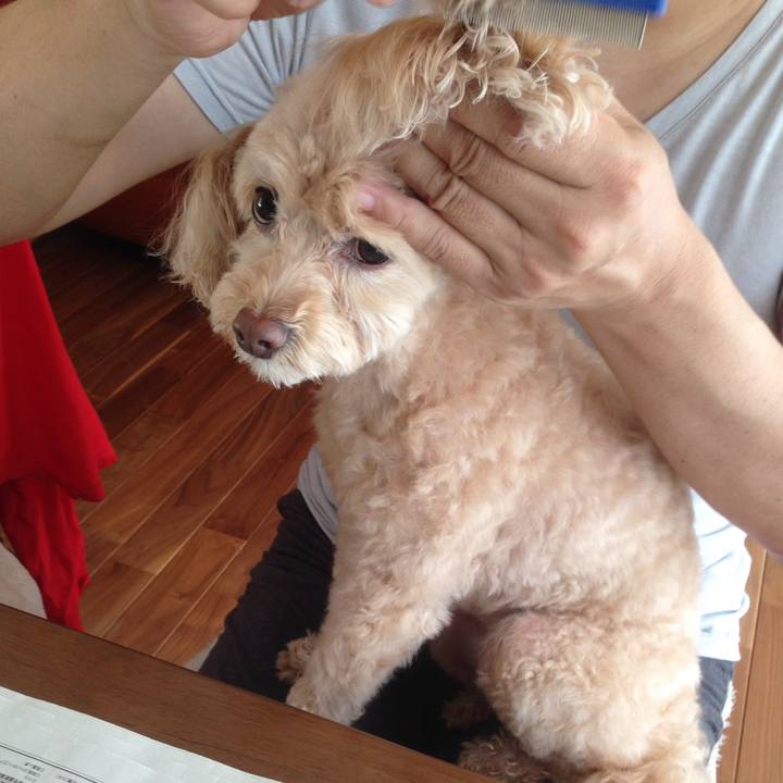 4e32557d b195 49a8 935f 89aa296d078c