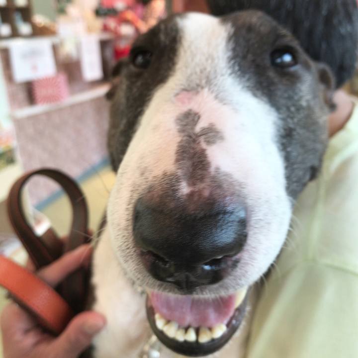 4e329d4f 0825 46e4 96c8 9dab4acf6f00