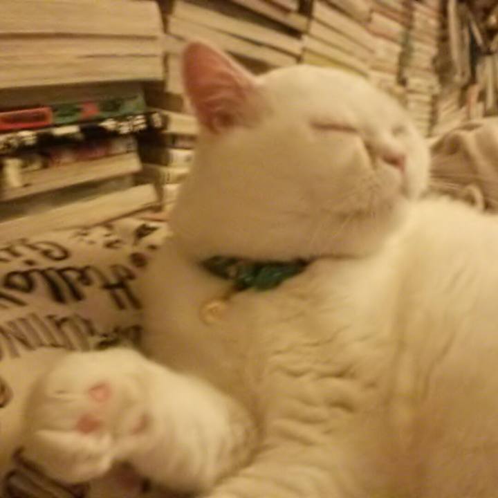 4e32a420 2299 4537 97b1 418f58ce07d6