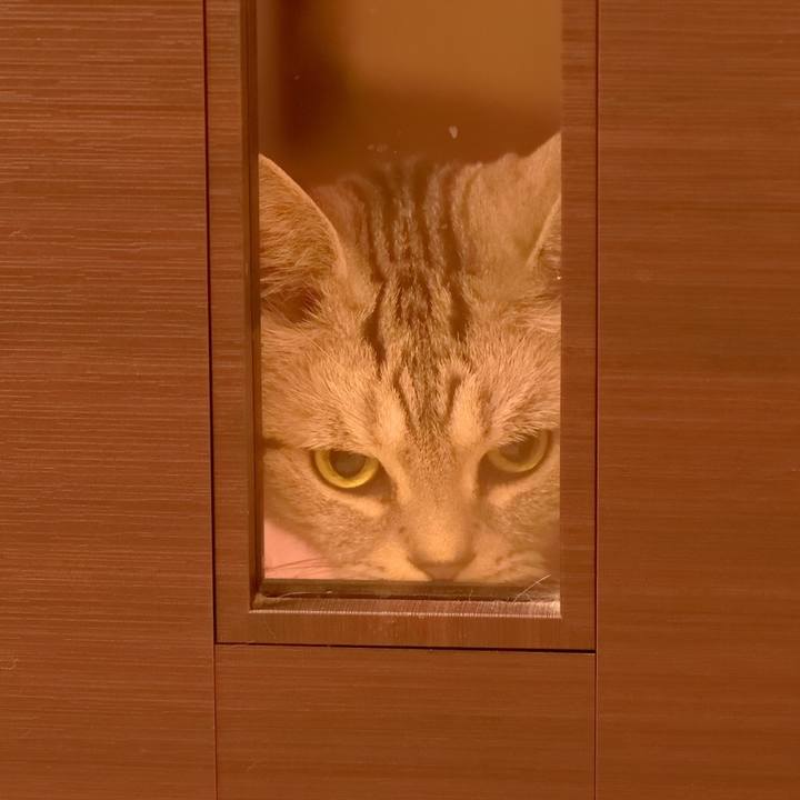 4e32af35 b677 44f5 8cb6 e4e62321a710