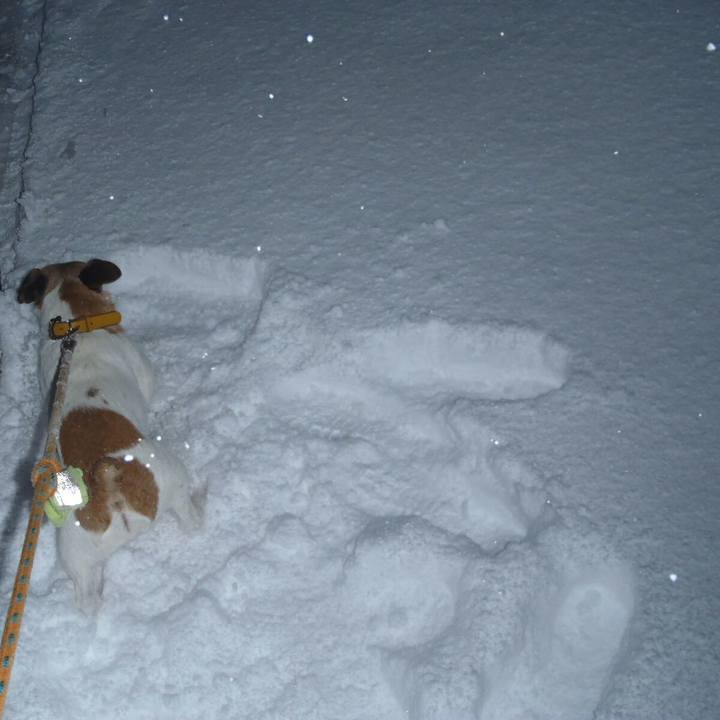 4e332543 9c1c 462d 883c d24df9893532