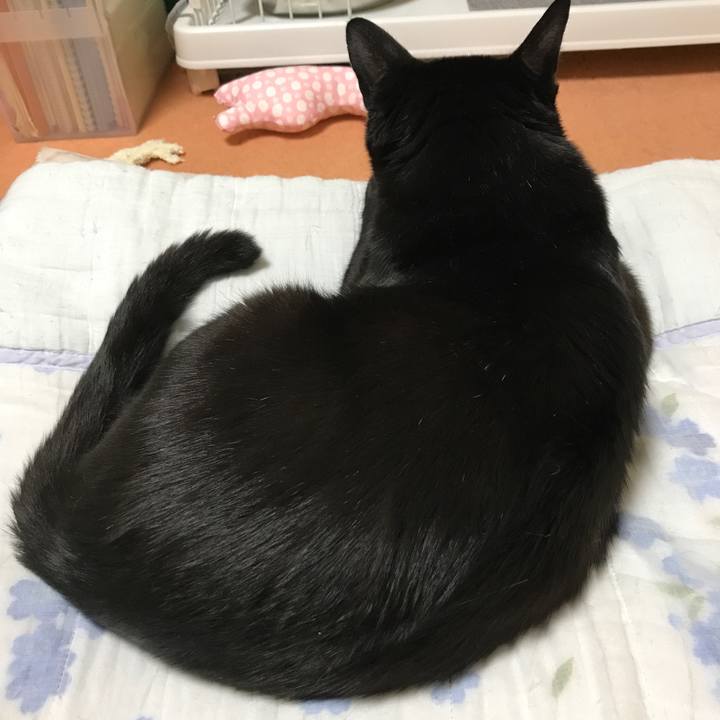 4e332738 05da 468b 89b1 14fca1b3d768