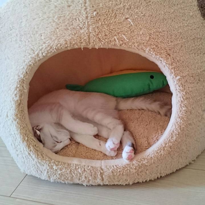 4e33db23 5ed0 49a8 89a2 718457fd3a6f