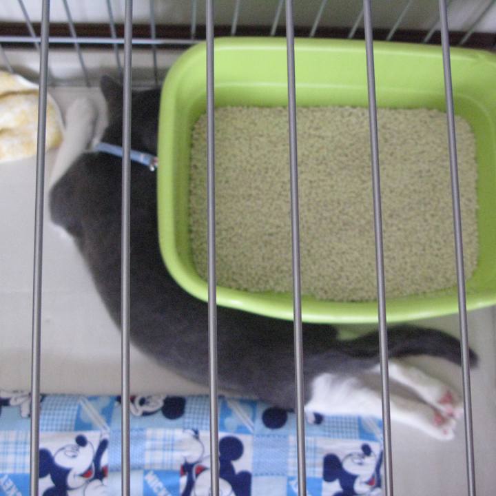 4e347cc6 caf5 452d bd6a e8f7e2258398