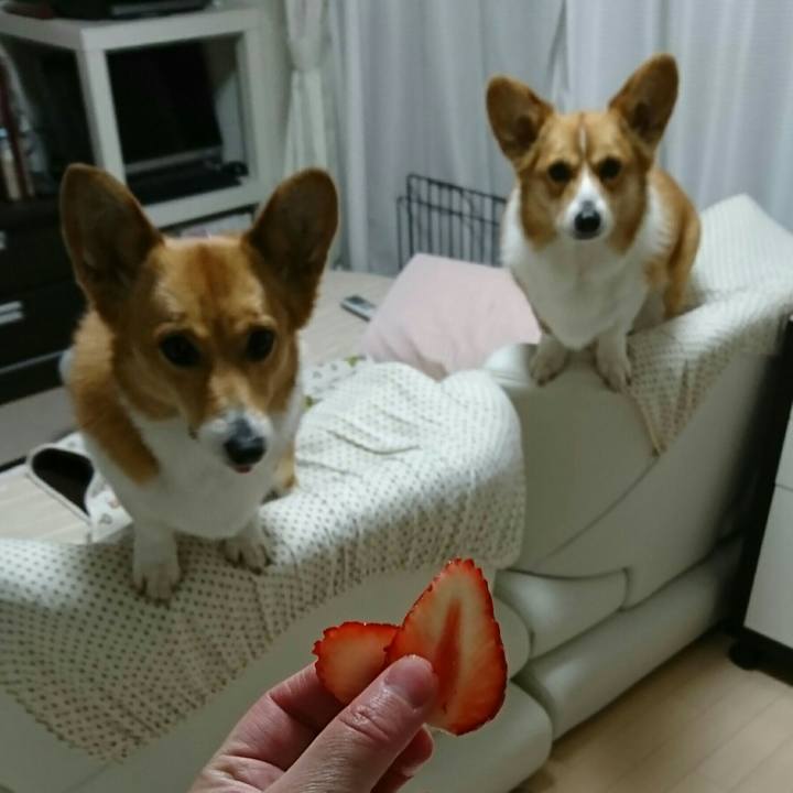 4e34ae5a 97b0 47e4 ad20 d9debb7b5368