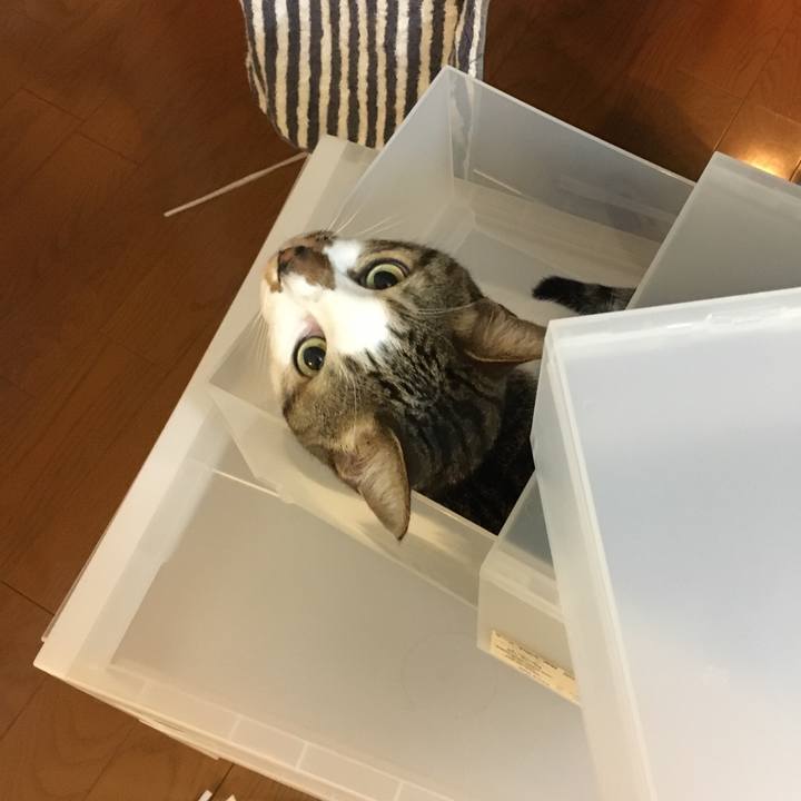 4e34b93a a6f0 466c 9076 5612b1a2df0b