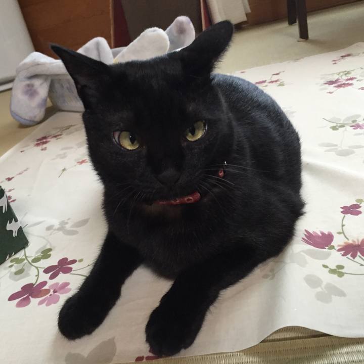 4e34cfae 715f 4982 9968 30819985432a