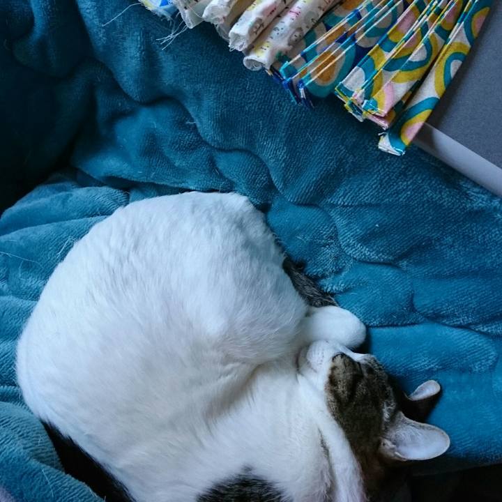 4e358f66 2840 4cf7 aaba 814785f0bebb