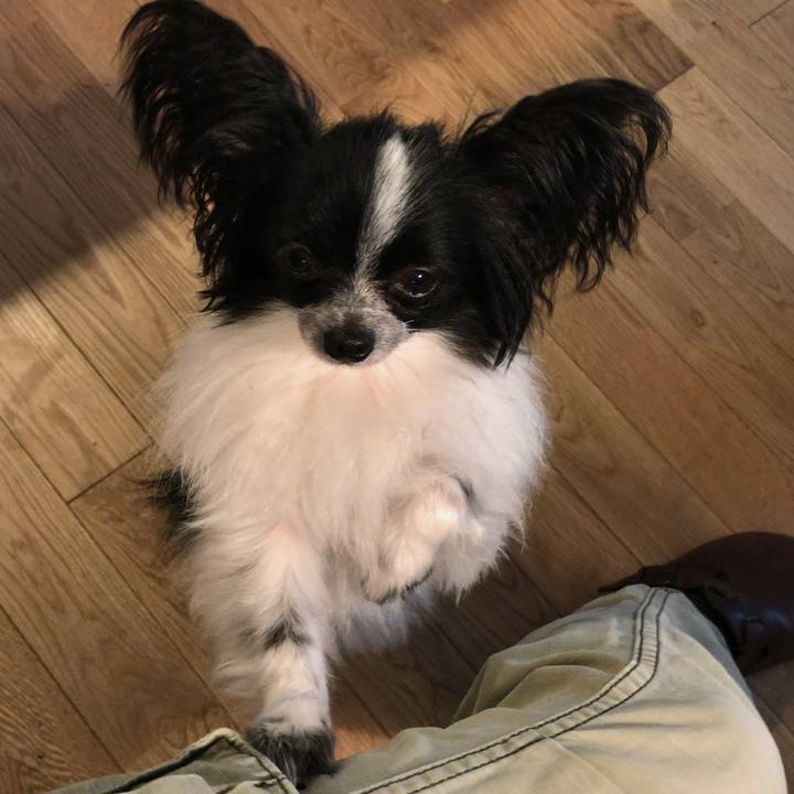 4e36309f 3d13 480e 8d12 870efb3d69ba