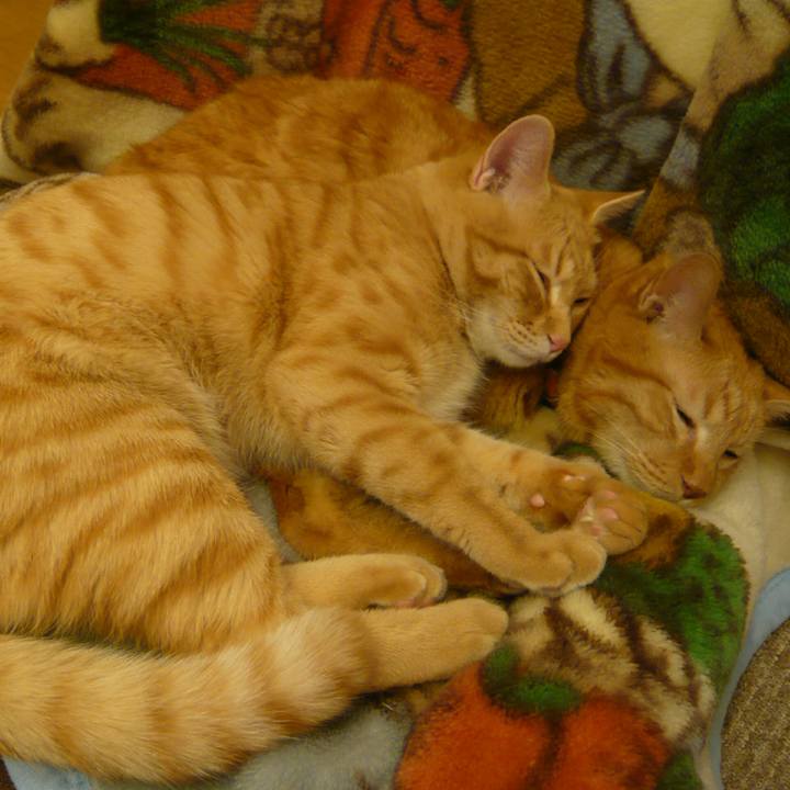 4e3691d8 c0a6 49b3 9cd4 505c7b2fcfeb