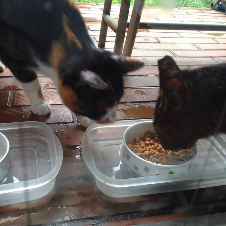 4e37474b 7751 4061 928f 4a6a8f1774cb