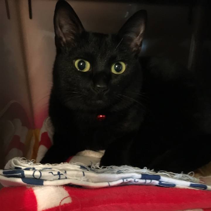 4e37ebc6 55e0 4cdd 94df 98d40c186dc0