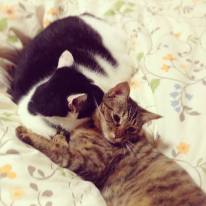 4e382675 b3d8 4784 8fbd 79abb9d8e82c