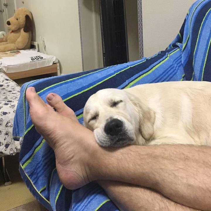 4e38b959 2edc 43f1 a0be eae232374890