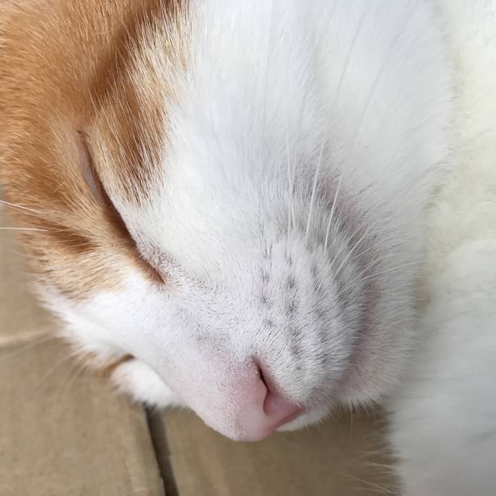 4e39273c 07ac 4209 9d26 b6ec1de91161