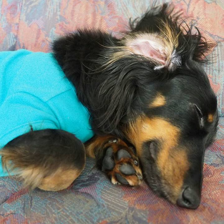 4e39dee2 e938 4542 b3b3 b4870d646cca