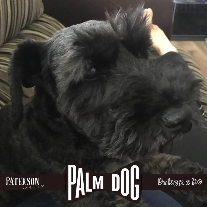 4e3a193a 98d1 4a81 9538 1d1bf6f8d982