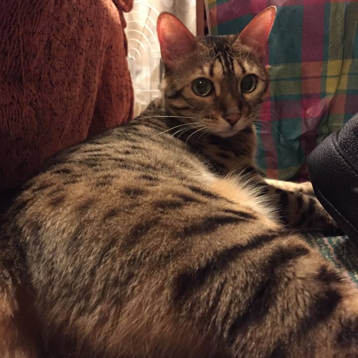 4e3a5e56 ee5f 4cc6 bd94 825862805ea5