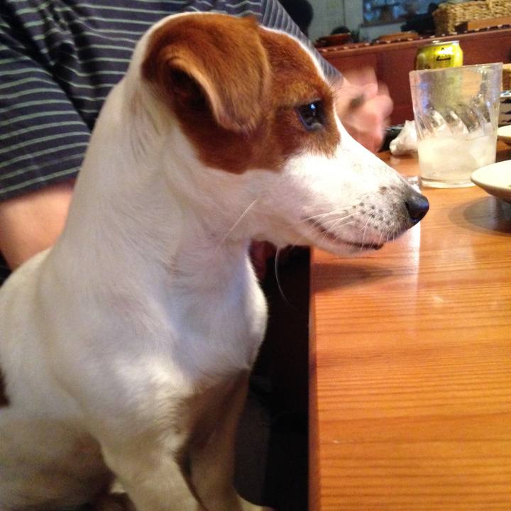 4e3b7873 f5dc 4624 a0a6 d3d1091c8c57