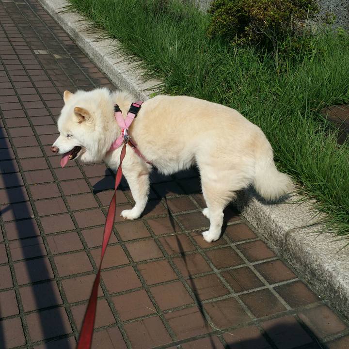 4e3bc050 5add 4175 a6cd c06bc258e50e