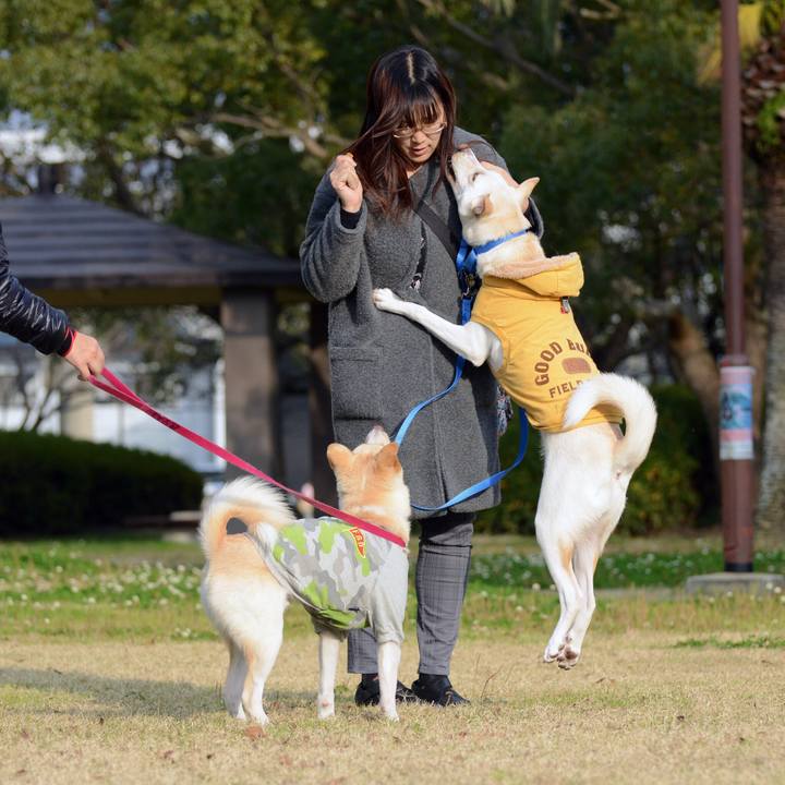 4e3be189 ad0e 4e77 8d20 4f7d2d7fe37c