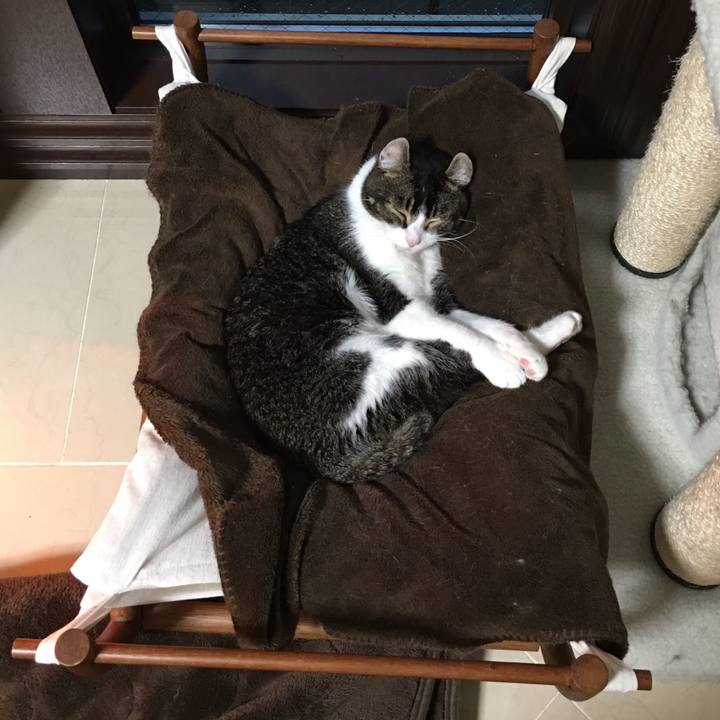 4e3d07d7 3249 4d2e b761 502f392ec56c