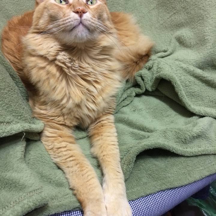 4e3d45ce e0b7 4fb2 887d 39744841b478