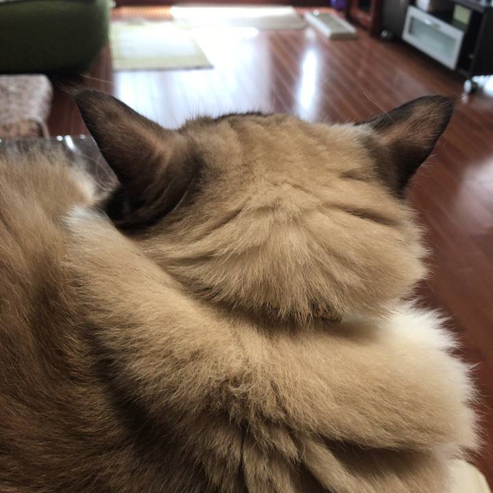 4e3d4b3f a605 4783 8534 380121782094