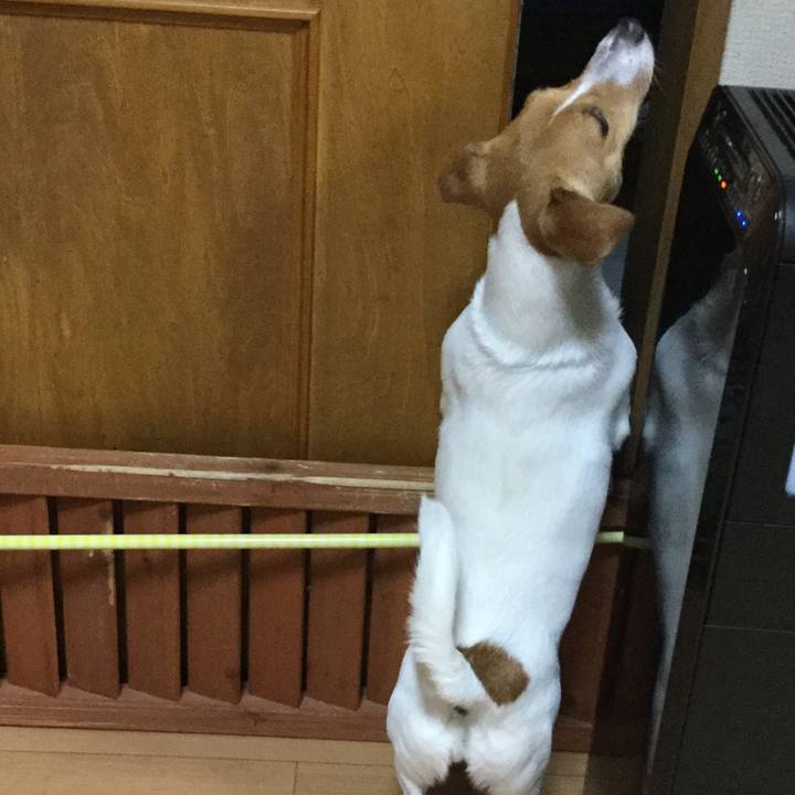 4e3e06a5 2000 4437 bf4a cb4c48eb97f6