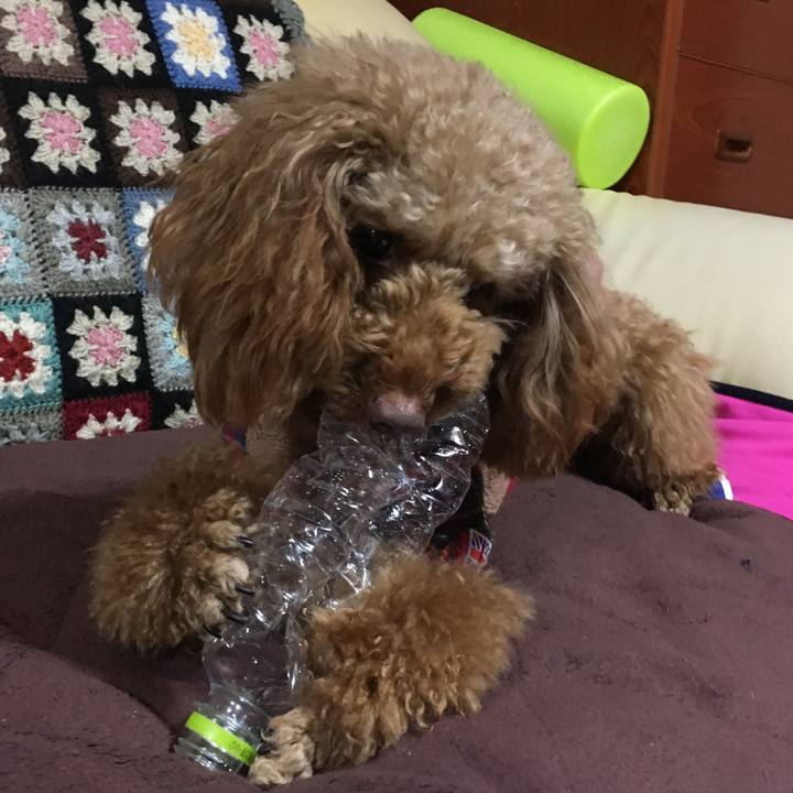 4e3e5778 9e4b 4547 963f 6a5d7d9151a3