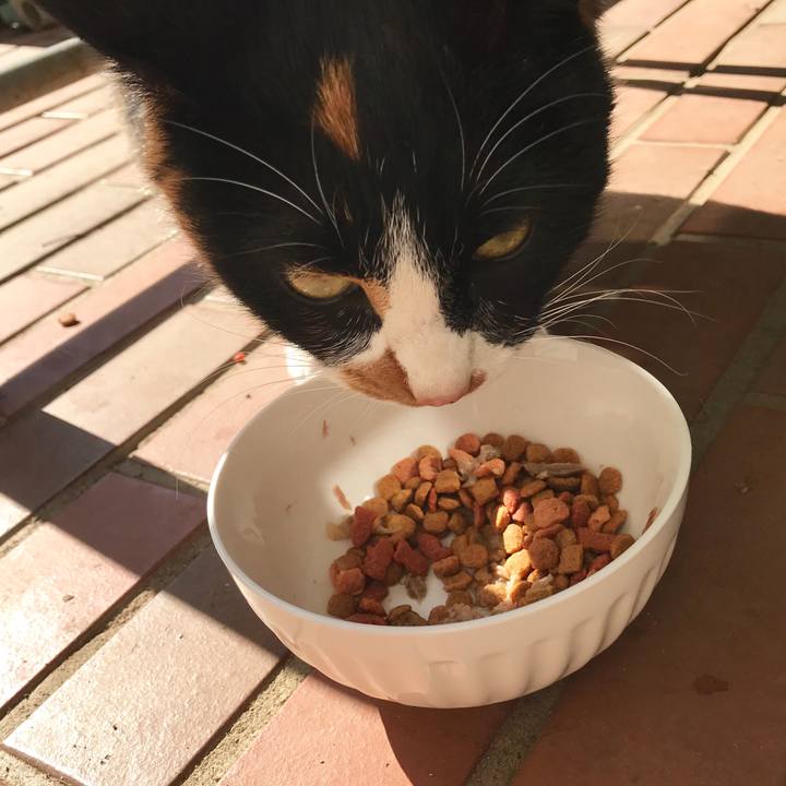 4e3e6391 b580 47f5 ab05 4809c8c6c7c1