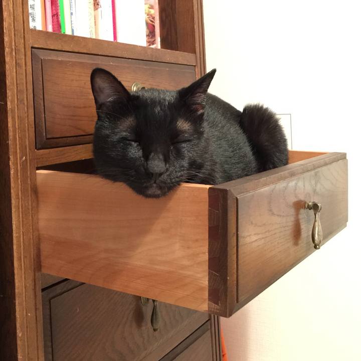 4e3e71b1 6716 47cc bcf2 12386bad8db1